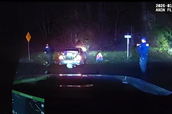 Key Peninsula Car Chase Ends in Crash, Dog Ejected, Driver Charged with DUI and Animal Cruelty
