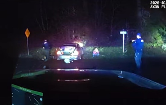Key Peninsula Car Chase Ends in Crash, Dog Ejected, Driver Charged with DUI and Animal Cruelty