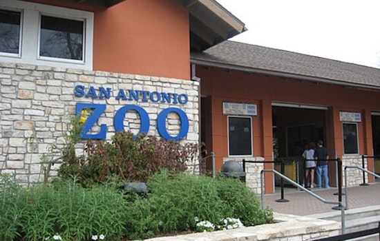 Knife Chaos Outside San Antonio Zoo Gift Shop Leaves Two Hurt