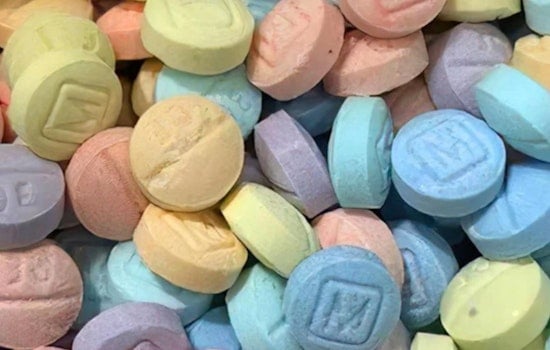 Knox County's Grim Tally: 272 Suspected Overdose Deaths As Tide Finally Turns