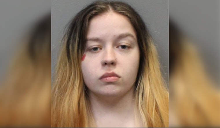 Knox County Sheriff's Office Seeks Help to Find Missing 22-Year-Old Sarah Johnston in Knoxville Area