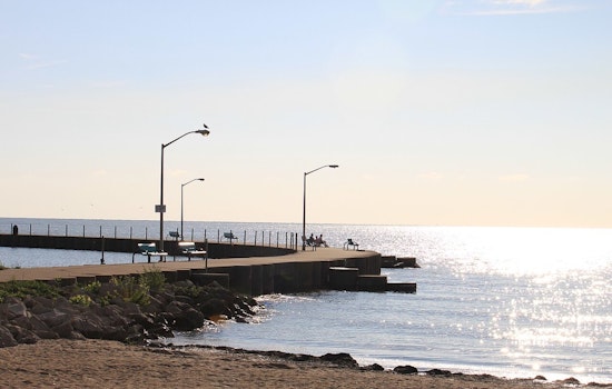 Lake Erie's Receding Waters Unveil Time-Capsuled Treasures in Luna Pier, Michigan