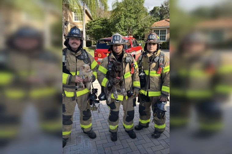 Lake Worth Family and Pets Safe After Firefighters Extinguish Kitchen Blaze on Colony View Drive