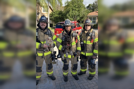 Lake Worth Family and Pets Safe After Firefighters Extinguish Kitchen Blaze on Colony View Drive