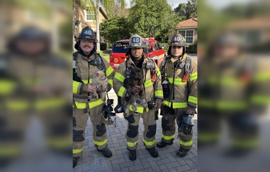 Lake Worth Family and Pets Safe After Firefighters Extinguish Kitchen Blaze on Colony View Drive