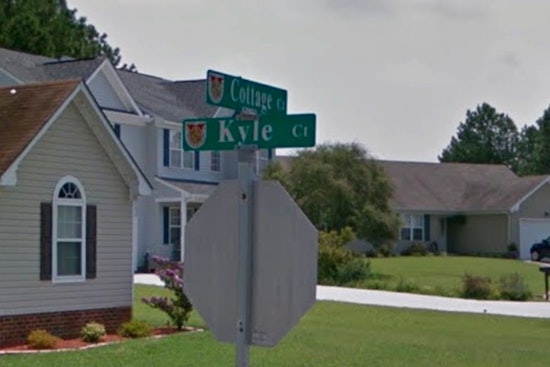 LaPlace Toddler Mauled in Pit Bull Attack Inside Family Home