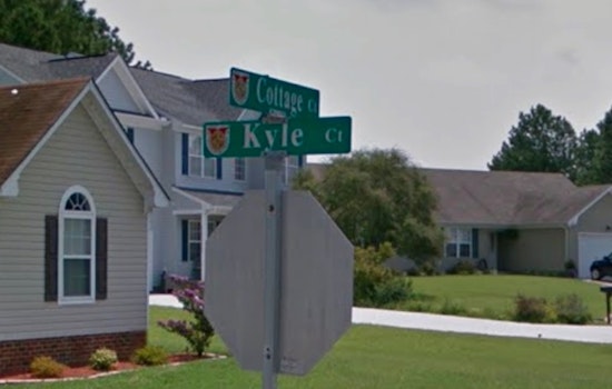 LaPlace Toddler Mauled in Pit Bull Attack Inside Family Home
