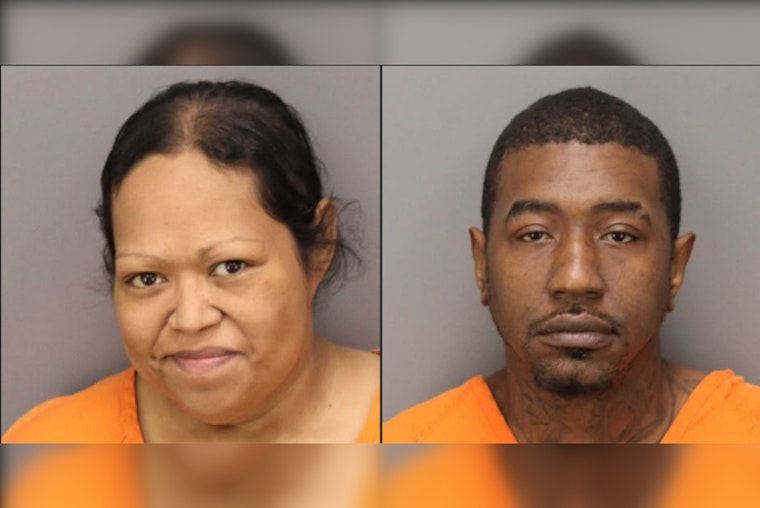 Largo Couple Charged with 12 Counts of Felony Animal Cruelty for Abandoning Sick Dogs in Taylor Park