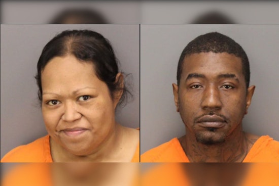 Largo Couple Charged with 12 Counts of Felony Animal Cruelty for Abandoning Sick Dogs in Taylor Park