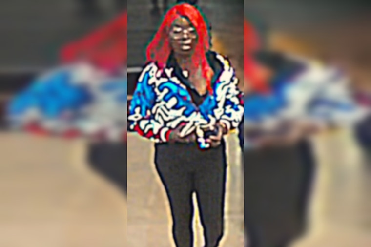 Las Vegas Police Seek Suspects in Violent Robbery Near East Sahara Avenue