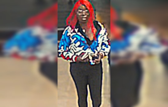 Las Vegas Police Seek Suspects in Violent Robbery Near East Sahara Avenue