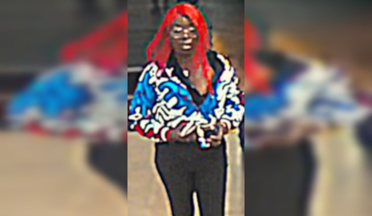 Las Vegas Police Seek Suspects in Violent Robbery Near East Sahara Avenue