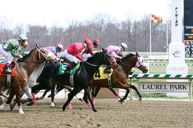 Laurel Park to Transform into Premier Training Facility, Boosting Maryland's Horse Racing Industry
