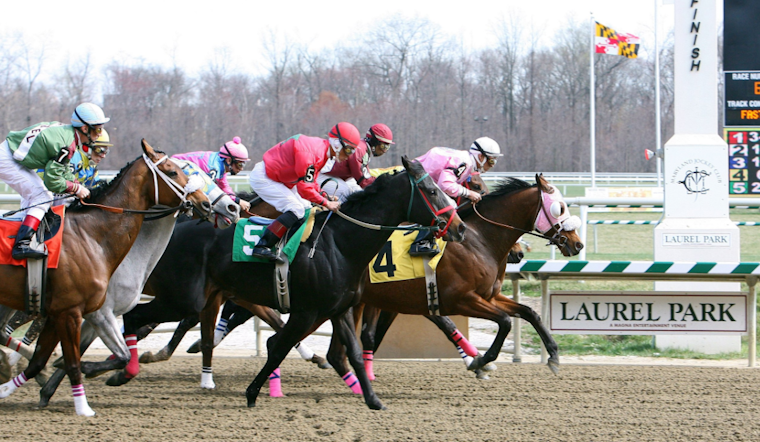 Laurel Park to Transform into Premier Training Facility, Boosting Maryland's Horse Racing Industry