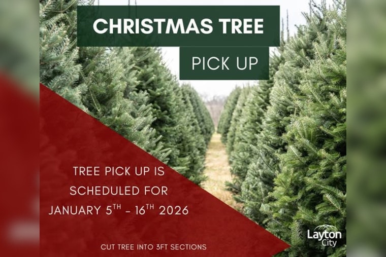 Layton City Issues Post-Christmas Tree Disposal Instructions for Residents