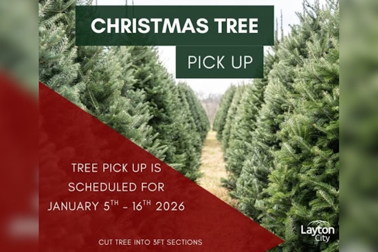 Layton City Issues Post-Christmas Tree Disposal Instructions for Residents