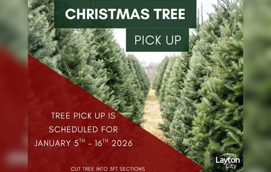 Layton City Issues Post-Christmas Tree Disposal Instructions for Residents