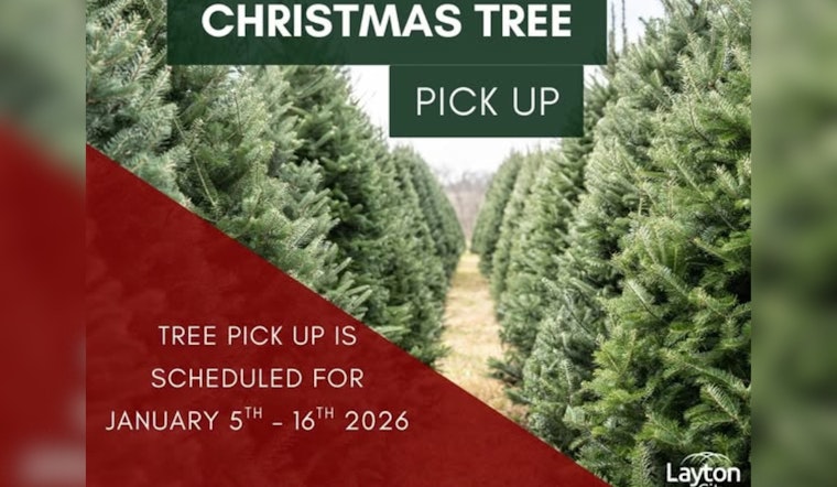 Layton City Issues Post-Christmas Tree Disposal Instructions for Residents