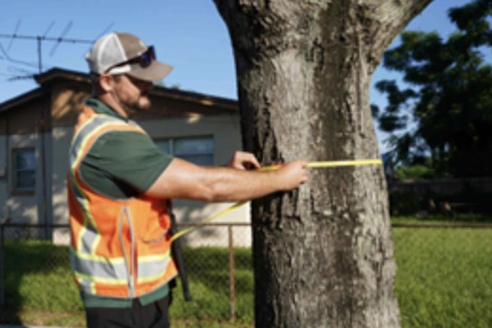 Leesburg Embarks on Comprehensive Tree Inventory for Urban Sustainability Enhancement