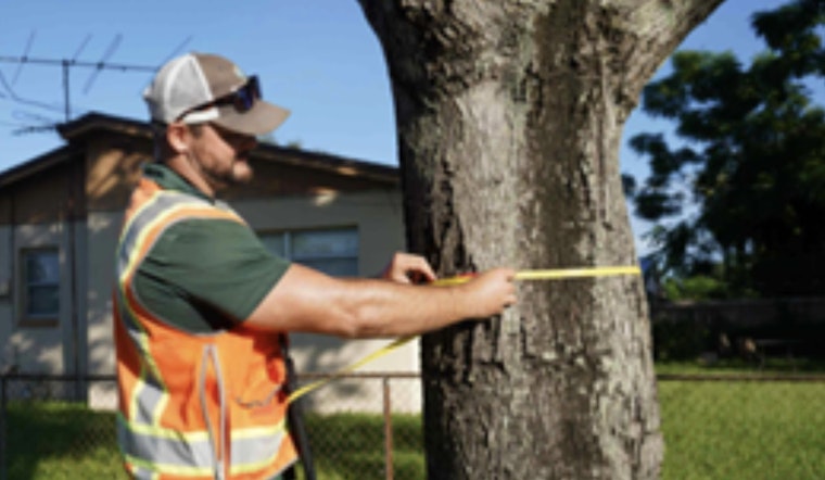Leesburg Embarks on Comprehensive Tree Inventory for Urban Sustainability Enhancement