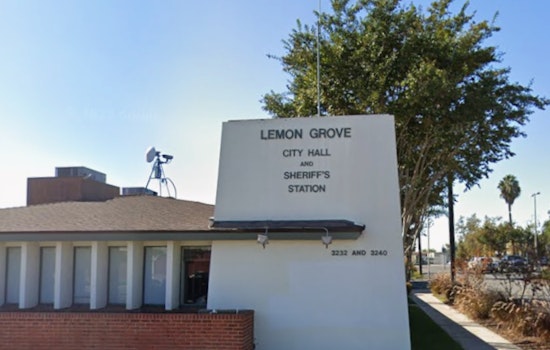 Lemon Grove Cops Nab Felon After Domestic Assault, Guns and Meth Haul