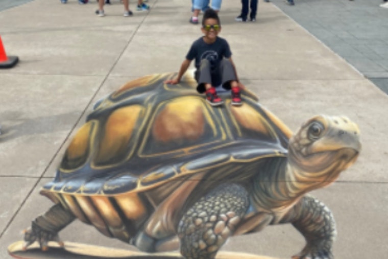 Lewisville Calls for Artists and Eco-Conscious Vendors to Join Annual ColorPalooza Event