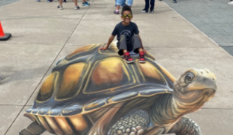 Lewisville Calls for Artists and Eco-Conscious Vendors to Join Annual ColorPalooza Event