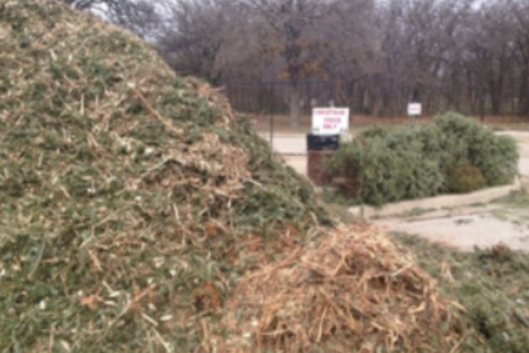 Lewisville Offers Free Mulch from Recycled Christmas Trees: A Sustainable Start to 2023