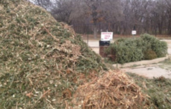 Lewisville Offers Free Mulch from Recycled Christmas Trees: A Sustainable Start to 2023