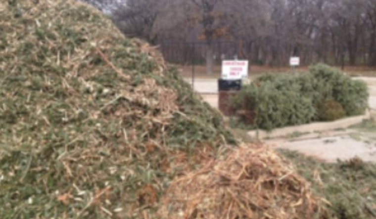 Lewisville Offers Free Mulch from Recycled Christmas Trees: A Sustainable Start to 2023