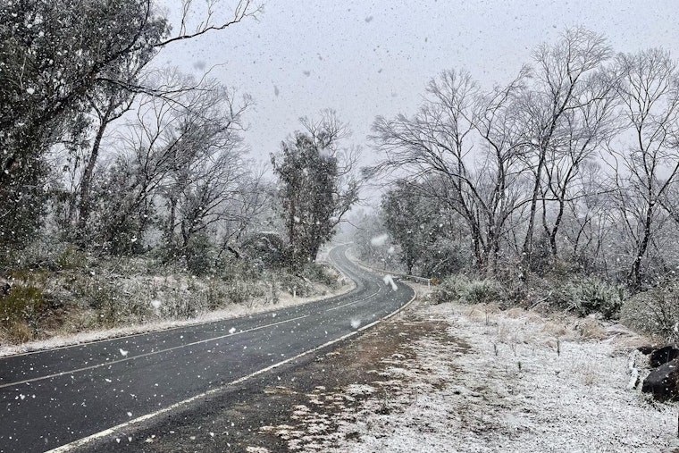 Light Snow Expected in Philadelphia as a Mild Week Brings a Rainy Finish, NWS Says