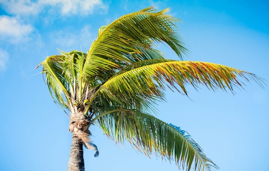 Light Winds and Increasing Showers Forecasted for Hawaiian Islands as Front Approaches