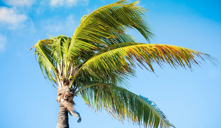 Light Winds and Increasing Showers Forecasted for Hawaiian Islands as Front Approaches