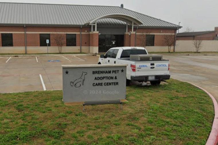 ‘Like My Son’, Brenham Block Shaken As Pit Bull Kills Neighbor’s Terrier