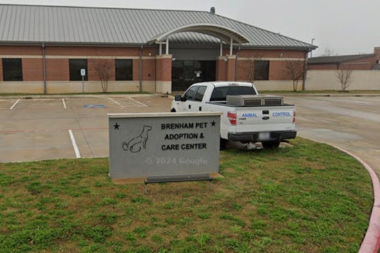 ‘Like My Son’, Brenham Block Shaken As Pit Bull Kills Neighbor’s Terrier