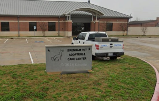 ‘Like My Son’, Brenham Block Shaken As Pit Bull Kills Neighbor’s Terrier
