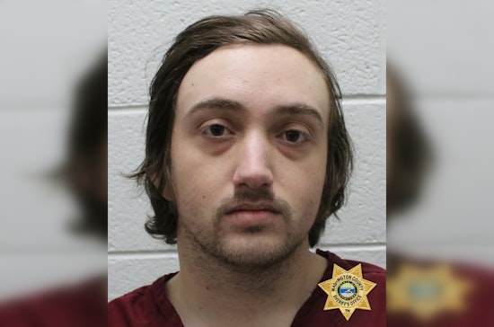 Limestone Man Charged with Vehicle Theft, Awaited Court Appearance in Washington County