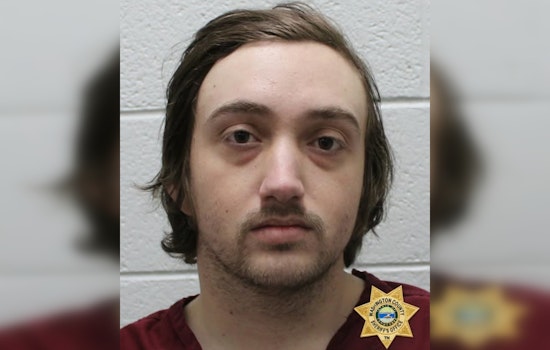 Limestone Man Charged with Vehicle Theft, Awaited Court Appearance in Washington County