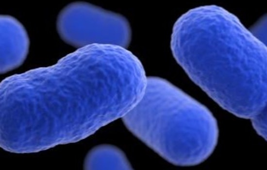 Listeria Scare Has San Antonio Shoppers Dumping Their Pecorino