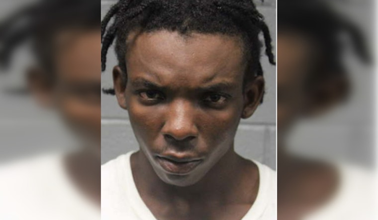 Loop Horror: Man On Ankle Monitor Charged With Robbing Pregnant CTA Rider