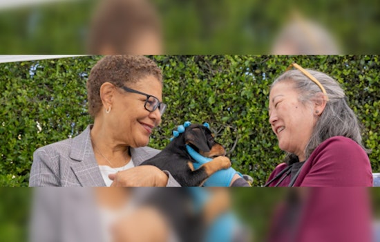 Los Angeles Mayor Partners with Project Street Vet to Provide Care for Homeless Pets