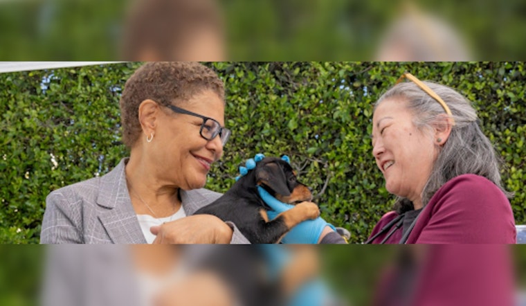 Los Angeles Mayor Partners with Project Street Vet to Provide Care for Homeless Pets