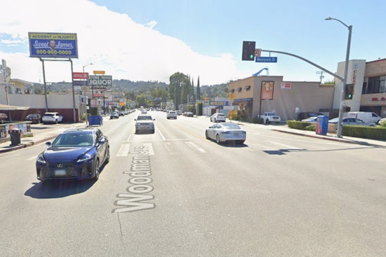 Los Angeles Police Search for Suspect in Fatal Hit-and-Run of Ukrainian Refugee and Service Dog in Sherman Oaks