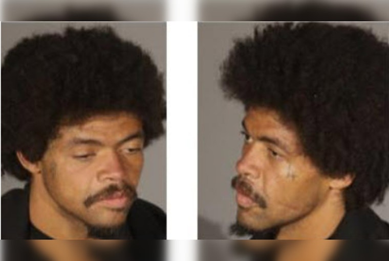 Los Angeles Police Seek More Victims of Suspect Charged with Downtown Sexual Assault