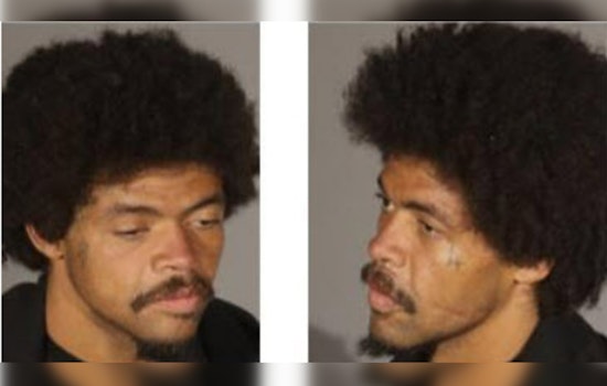 Los Angeles Police Seek More Victims of Suspect Charged with Downtown Sexual Assault