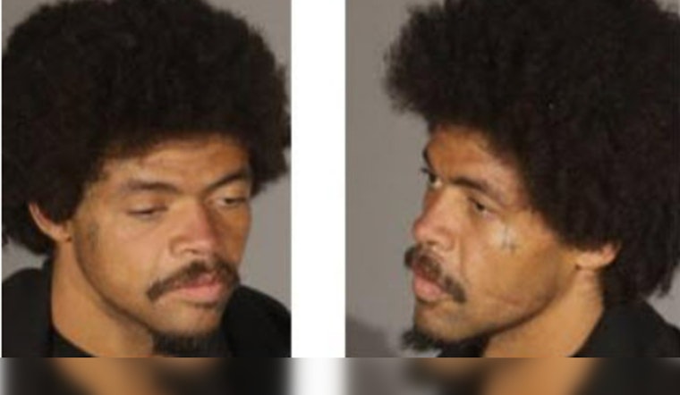 Los Angeles Police Seek More Victims of Suspect Charged with Downtown Sexual Assault