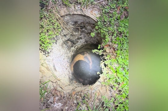 Man Rescued After Being Trapped in Houston Sewer for Days, Investigation Underway