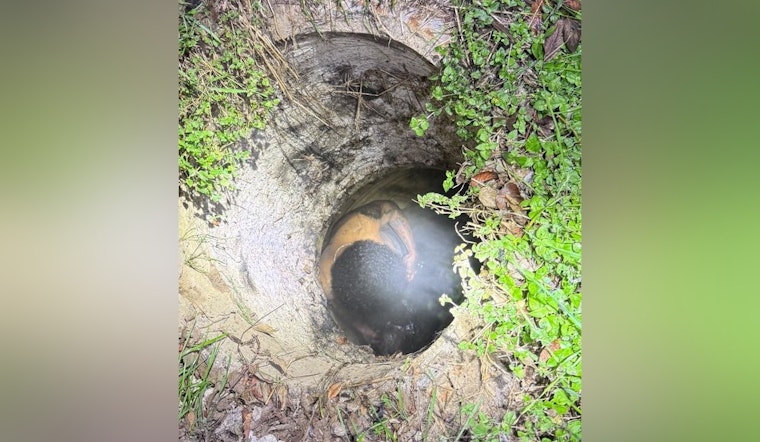 Man Rescued After Being Trapped in Houston Sewer for Days, Investigation Underway