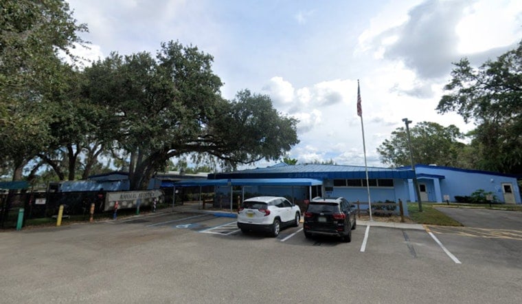 Manatee County Animal Welfare Celebrates Successful Year With Community Support in Florida