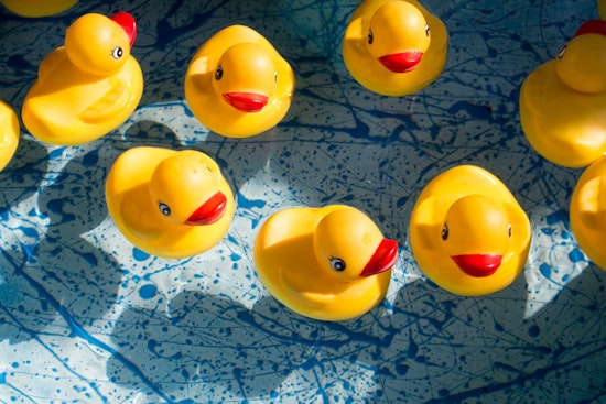 Manhattan’s “Duck Library” Treasure Hunt Captures the Interest of Children and Families